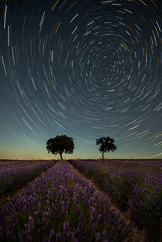 Fotografía de campos de lavanda. Circumpolar sobre un campo de lavanda.