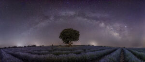 Guadalajara Campo de lavanda de Brihuega con Vía Láctera El universo sobre mí