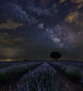 Guadalajara Campo de lavanda de Brihuega Ventana al Universo