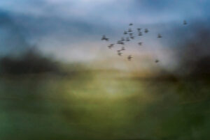 Imagen ICM. Aprender fotografía ICM