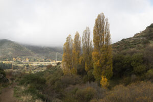 Ejemplo de fotografía ICM