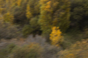 Ejemplo de fotografía ICM