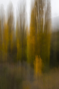 Ejemplo de fotografía ICM