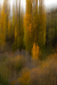 Ejemplo de fotografía ICM