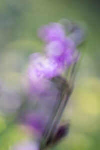 Fotografía ICM y velocidad de obturación adecuada