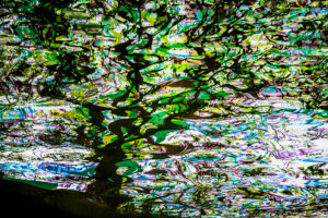 Fotografía creativa multiexposición