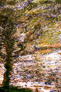 Fotografía creativa multiexposición