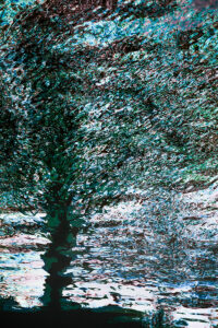 Fotografía creativa multiexposición