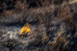 Incendios en España - Cenizas de lo imaginado