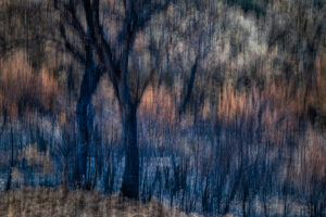 Incendios en España - Cenizas de lo imaginado