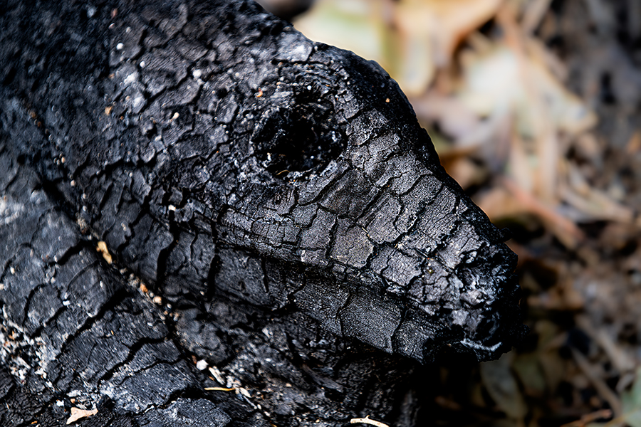 Incendios en España - Cenizas de lo imaginado (3955)