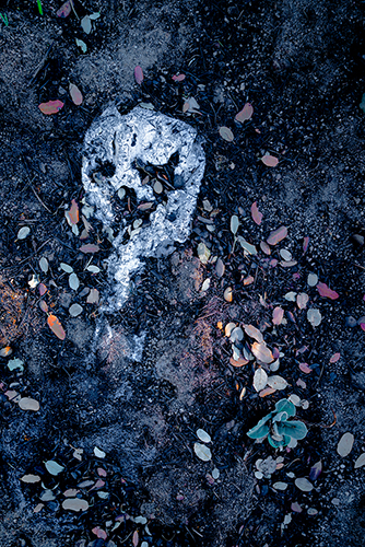 Incendios en España - Cenizas de lo imaginado