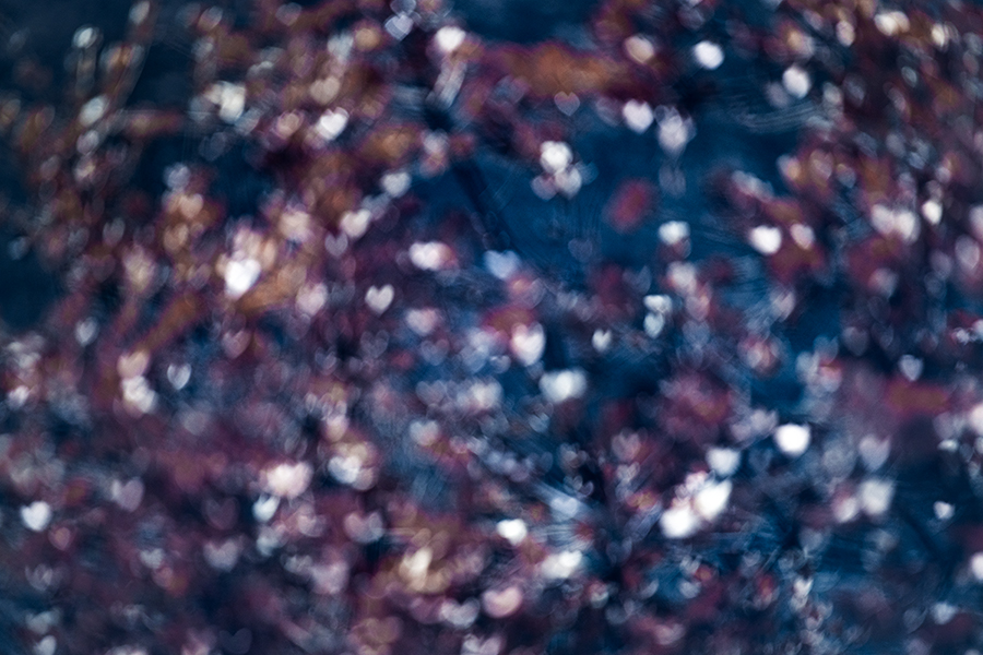 Incendios en España - Cenizas de lo imaginado (84184)