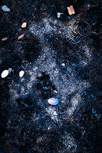 Incendios en España - Cenizas de lo imaginado (84235)