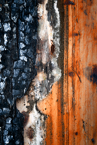 Incendios en España - Cenizas de lo imaginado (84276)