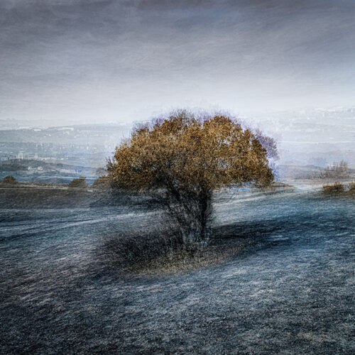 Cenizas de lo imaginado-84314