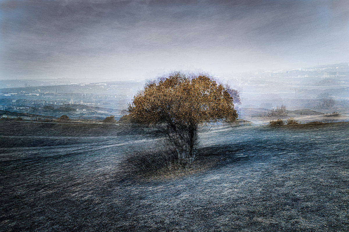 Cenizas de lo imaginado-84314