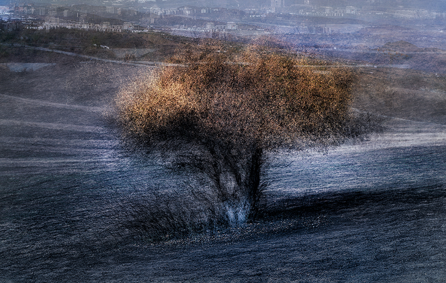 Incendios en España - Cenizas de lo imaginado (84323)